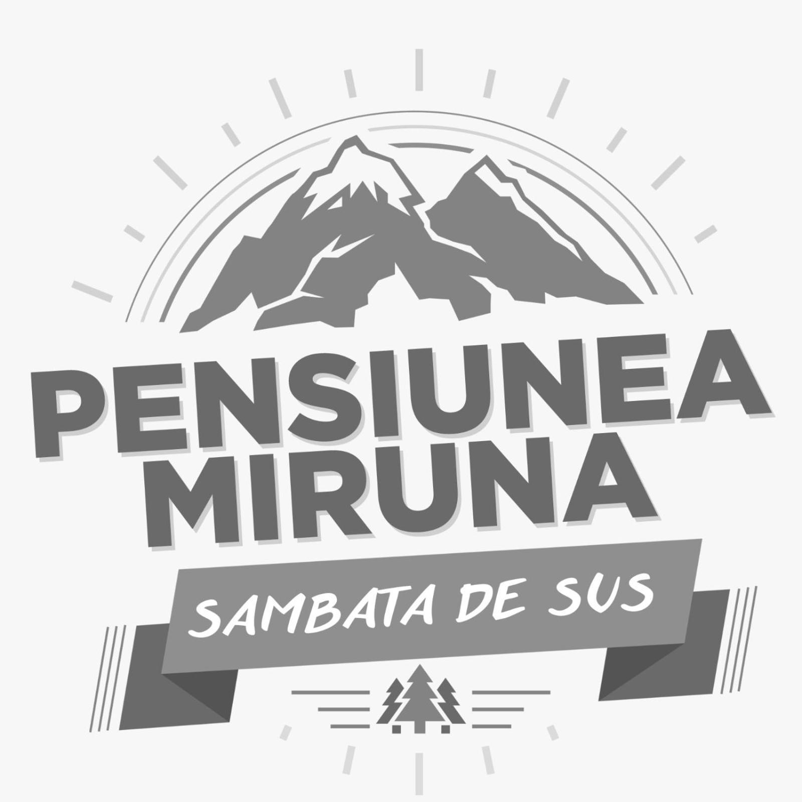 Hotel Miruna Sâmbăta de Sus Exterior foto